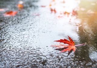 Yellow warning of rain for UK as autumnal weather brings torrential showers