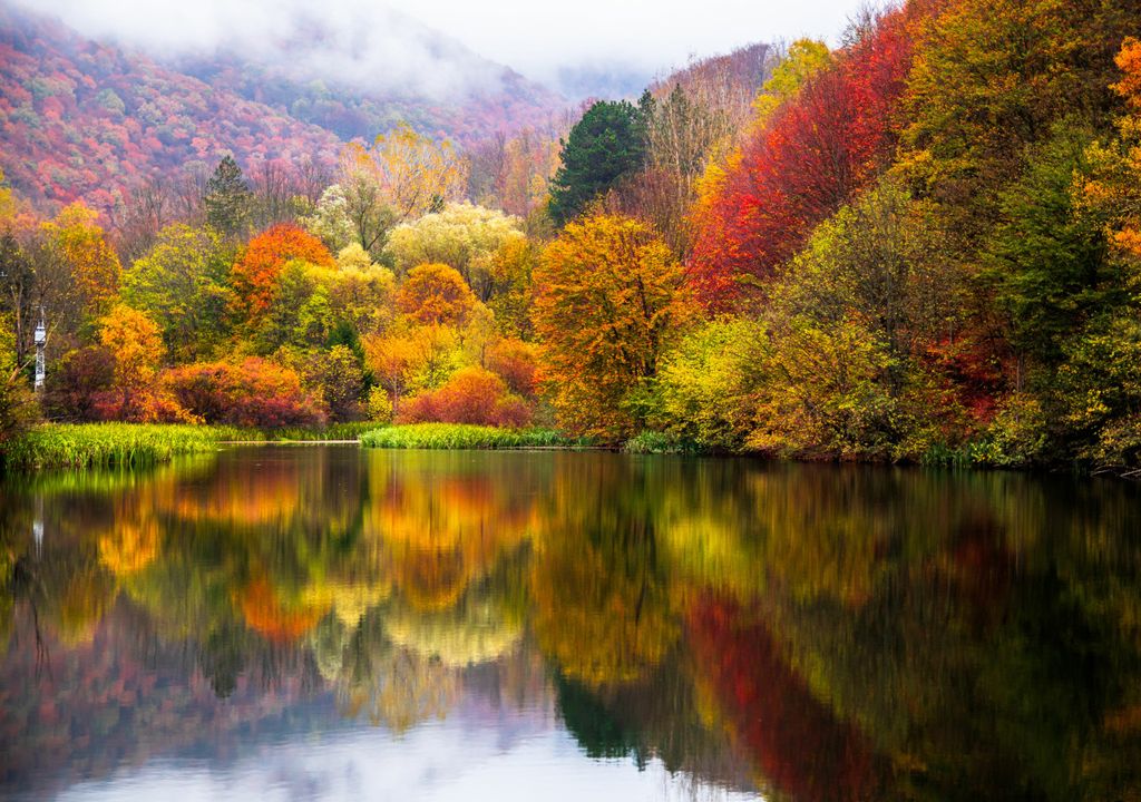 Autumn lake