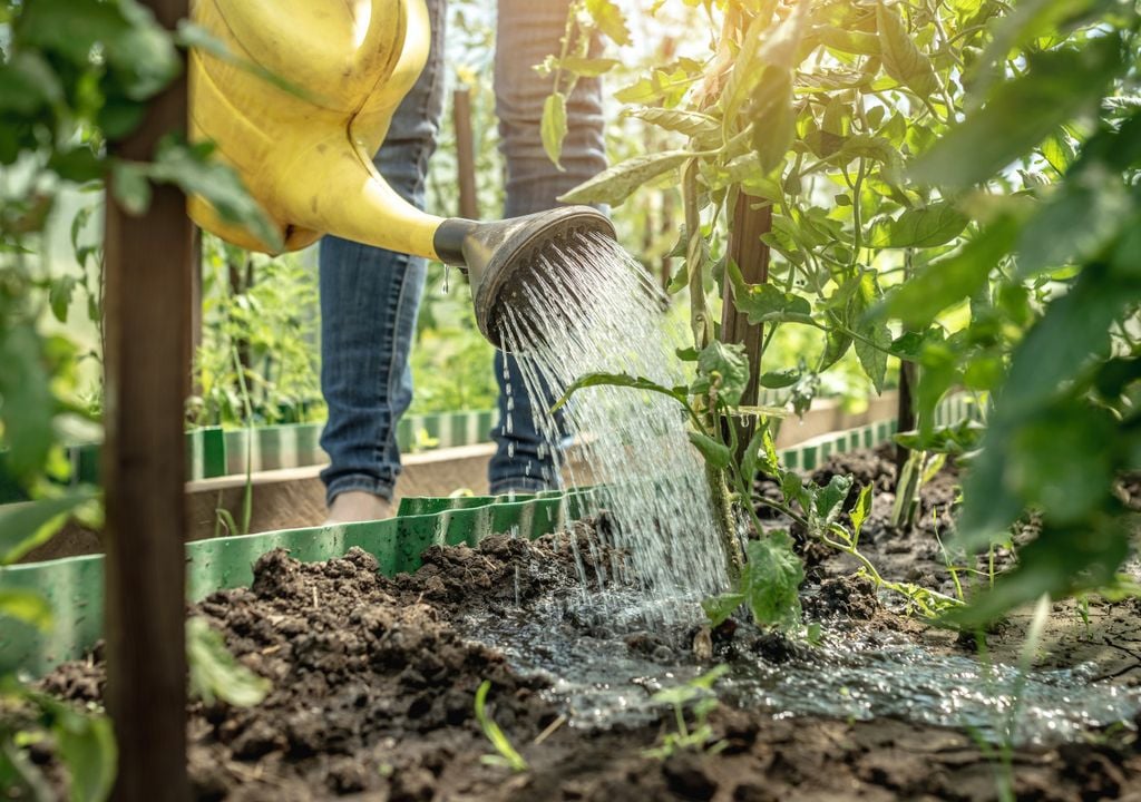 Watering can