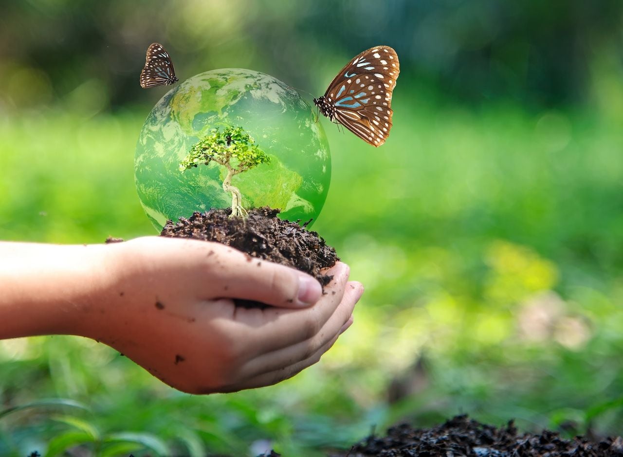 Medidas para preservar la biodiversidad