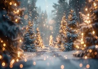 Wei&szlig;e Weihnachten 2026: Schnee-Check f&uuml;r die 10 gr&ouml;&szlig;ten St&auml;dte &ndash; in DIESER Metropole ist es &bdquo;fast ein Wunder&ldquo;