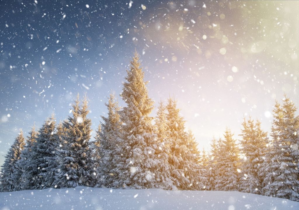 Flockenwirbel an Weinachten?