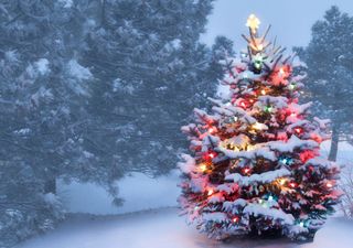 Weiße Weihnachten 2020: Die erste Prognose!