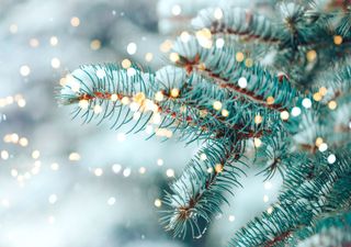 So stehen die Chancen auf weiße Weihnachten wirklich!