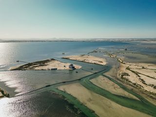 Welche juristischen Rechte hat die Natur – und kann sie wirklich vor Gericht klagen?