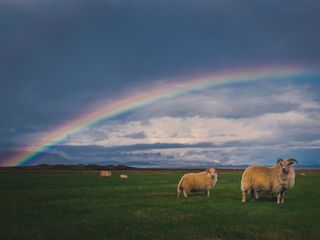 Welcome drier weather and hopefully an end for the flooding