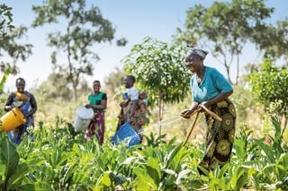 Welthungerindex 2024: Der Kampf gegen den Hunger stagniert – schuld daran sind Kriege und Klimakatastrophen