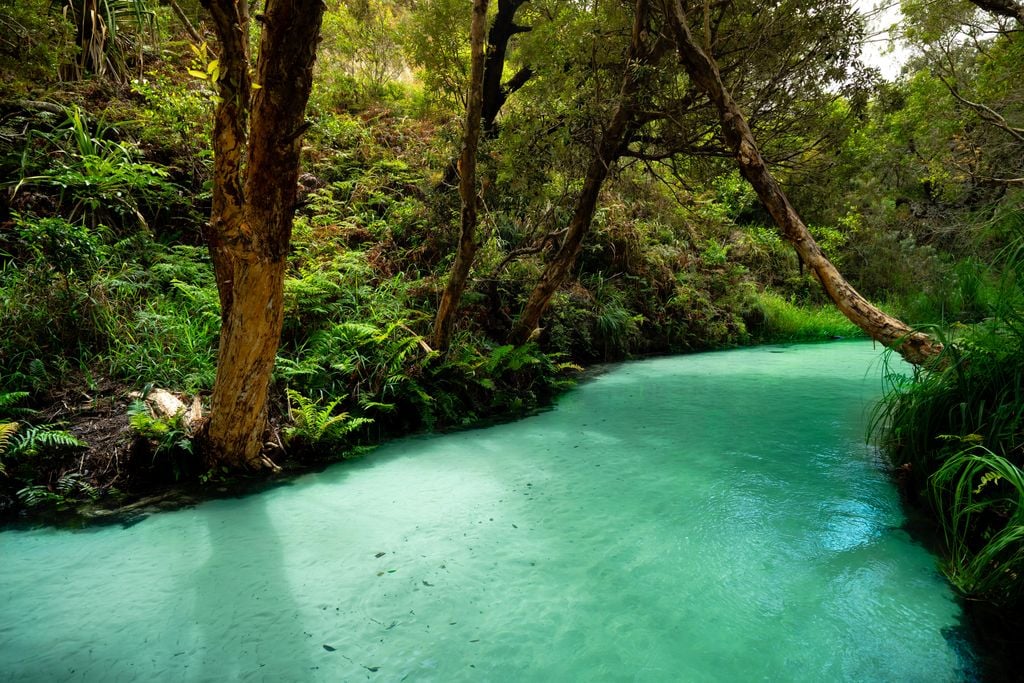Ellis Creek Das türkisfarbene Flüsschen Ellis Creek zählt zu den Naturwundern von K'gari. Foto: Adobe Stock
