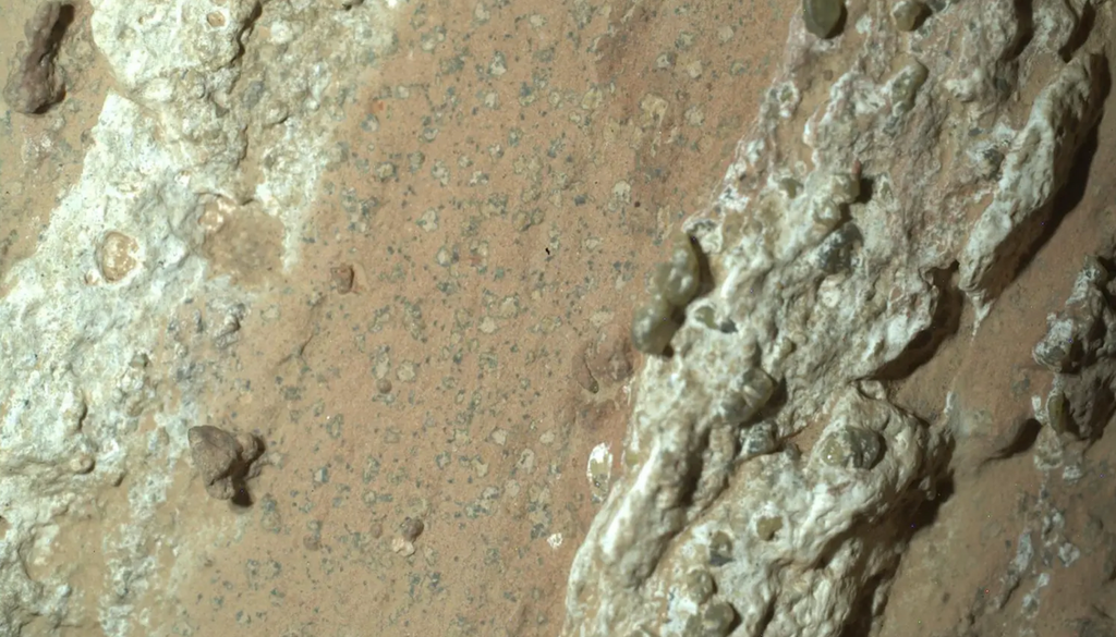 NASAs Rover Perseverance entdeckte im Juli 2024 im Jezero-Krater Flecken auf einem rötlichen Gestein, die möglicherweise darauf hinweisen, dass es vor Milliarden Jahren mikrobielles Leben gegeben haben könnte. NASAs Rover Perseverance entdeckte im Juli 2024 im Jezero-Krater Flecken auf einem rötlichen Gestein, die möglicherweise darauf hinweisen, dass es vor Milliarden Jahren mikrobielles Leben gegeben haben könnte. Bild: NASA/JPL-Caltech/MSSS
