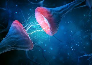 Wer im Kopf aufräumen möchte, macht am besten einen kleinen Nap