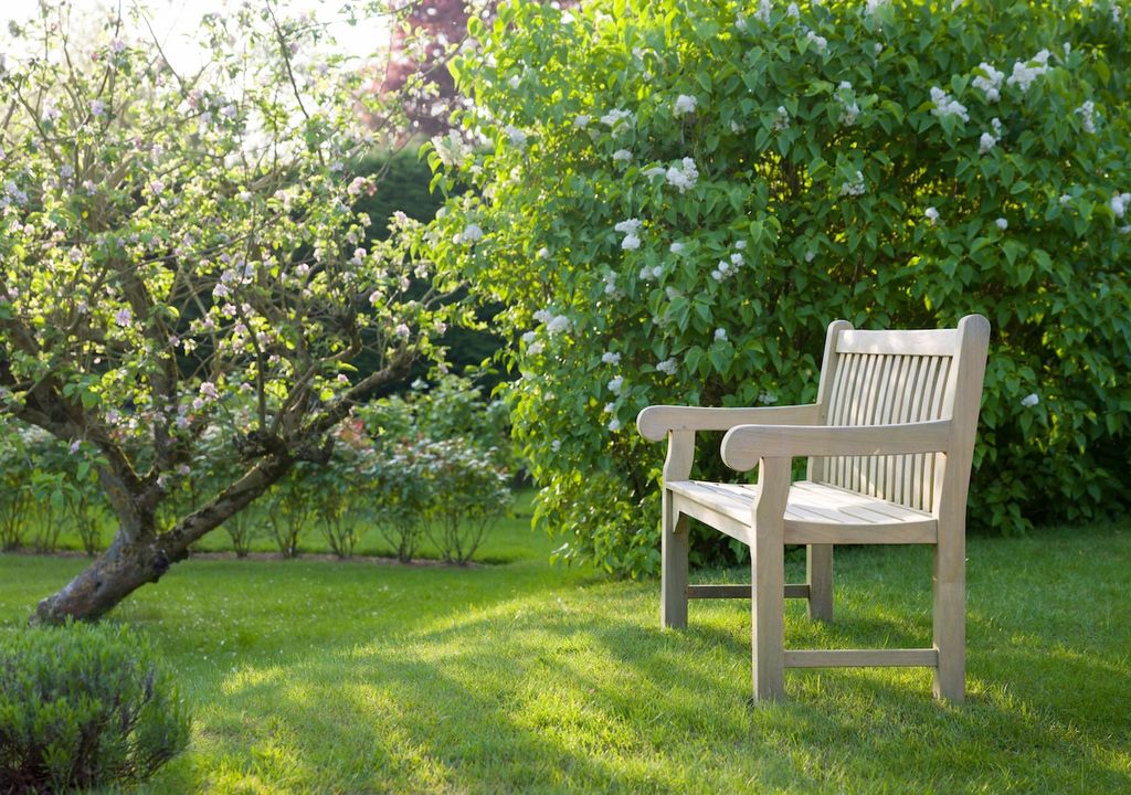 Im Herbst richtig geschnittene Bäume sind im Frühling Vital Im Herbst richtig geschnittene Bäume sind im Frühling Vital