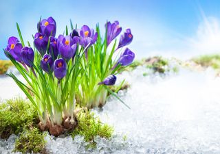 Westwetterlage bringt bis zu 14 Grad: Wann wird es wieder kühler?