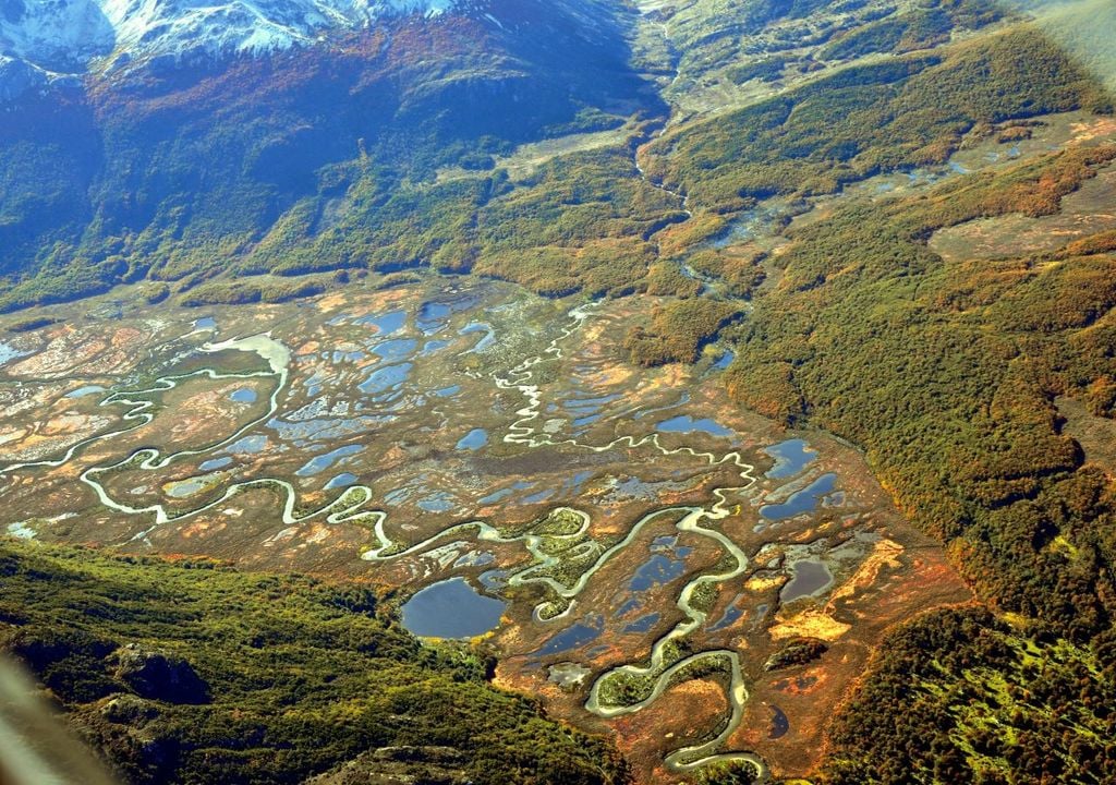 Peatland, Tierra del Fuego, Argentina (c) Rodolgo Iturraspe