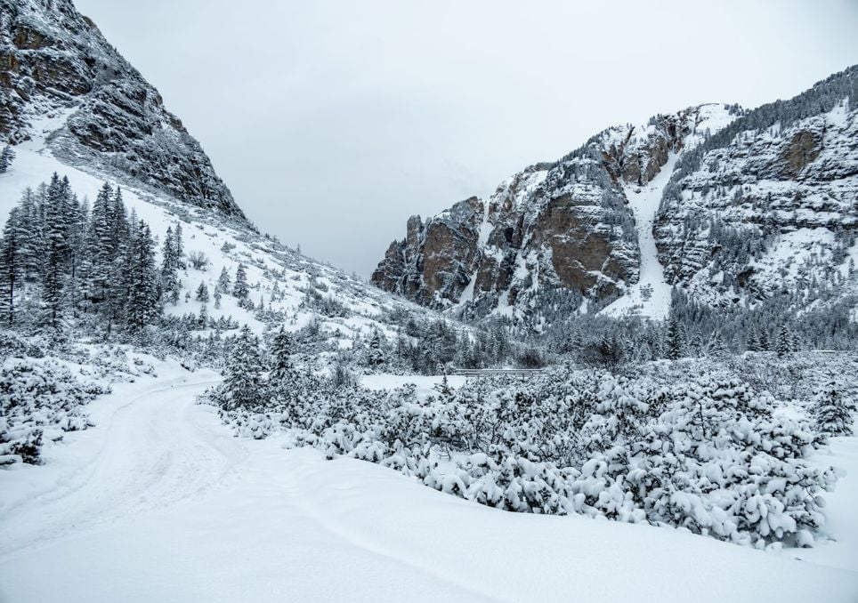 Wetter-Alarm für ganz Bayern: Wintereinbruch im Mai! Schnee bis in mittlere Lagen, Frostgefahr und Dauerregen