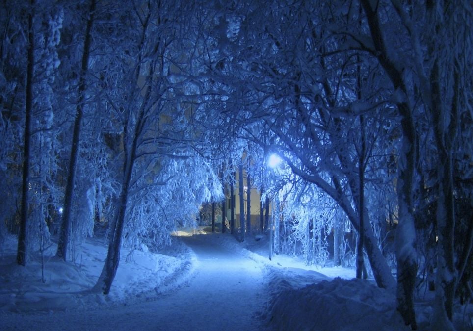 Nachtschnee Nachtschnee