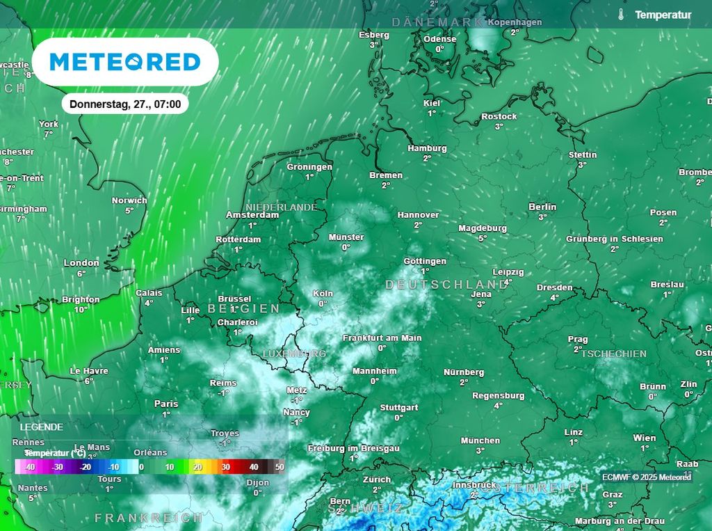 frost, altweiber, deutschland frost, altweiber, deutschland