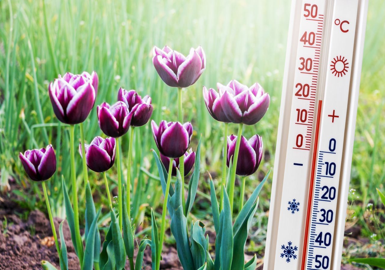 Jetzt startet der Frühling mitten im Februar voll durch! und am Donnerstag bis zu 20°C warm!