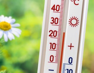 Märzsommer in Deutschland: Knacken wir bald schon die 25-Grad-Marke?