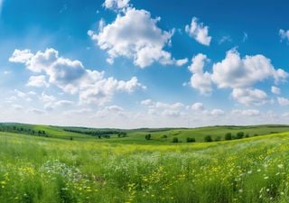 Wetter in Deutschland: Der Sommer geht auch in dieser Woche weiter! Im Norden etwas kühler!