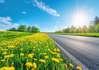 Wetter-Drama am Palmsonntag! Wettermann warnt: „Nutzen Sie den Samstag – danach wird’s ungemütlich!“