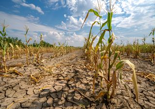 Wetter-Drama im Mai? Experte überrascht mit düsterer Prognose – das hätte wirklich niemand für den Wonnemonat erwartet!