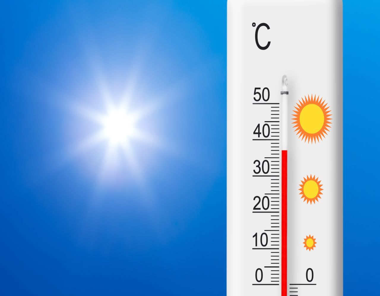 Fast 37°C Hier schlägt die Hitze mitten im Februar zu! Der Februar