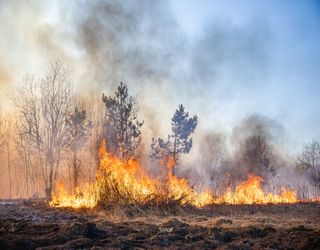 Wie wird der Frühling 2023 in Deutschland? Schockierende Prognose! 