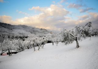 Kalter Frühling nicht unwahrscheinlich: Wintereinbruch im März?