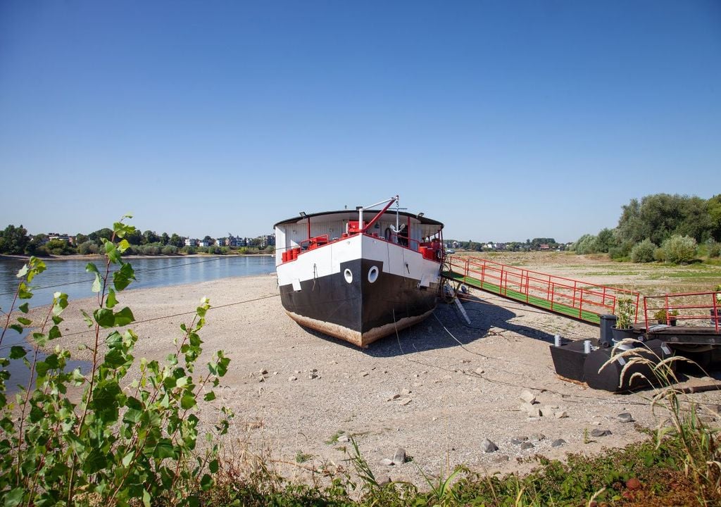 dürre. rhein, katastrophe Der Rhein führt immer weniger Wasser und die Dürrelage spitzt sich zu.