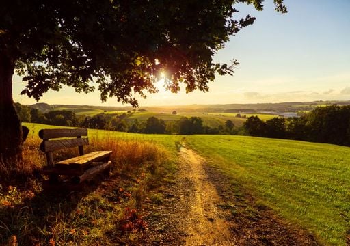 Wetter im Sp&auml;tsommer: Kommt jetzt der goldene Herbst? Wetterforscher sicher: "Die Chancen sind riesig"