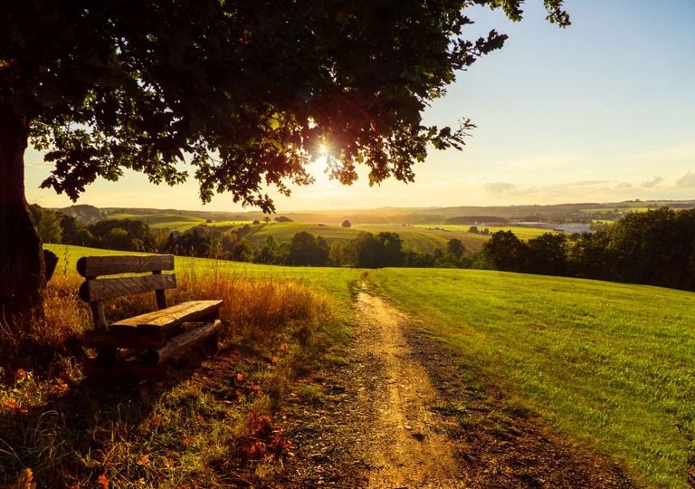 Wetter im Sp&auml;tsommer: Kommt jetzt der goldene Herbst? Wetterforscher sicher: "Die Chancen sind riesig"