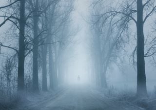 Wenn der Nebel das Grauen bringt: Furchterregendes Gänsehaut-Wetter in der Halloween-Woche 