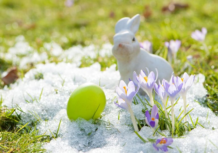 Weiße Überraschung beim Osterwetter: Schnee oder Frühlingswärme? Weiße Überraschung beim Osterwetter: Schnee oder Frühlingswärme?