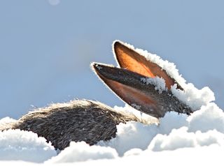 Irres Osterwetter in Deutschland: Starkregen und Schneesturm!