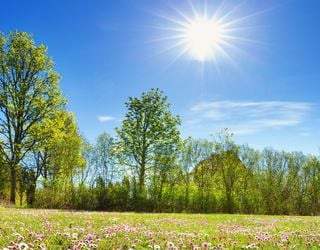 Noch im April: Saharaluft bringt Deutschland den ersten Sommertag: 25°C! 