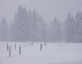 Frostbeulen im September: Nächste Woche heftiger Schneefall ab 1000 m!