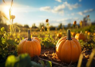 Krasse Wetterprognose: Sommertage bis Mitte Oktober! Wettersturz nicht in Sicht!