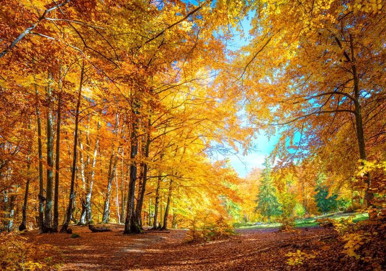 novemberwetter novemberwetter