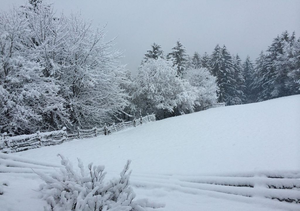 alpenschnee, schnee, neuschnee