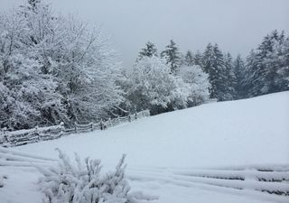 "Sowas sieht man selten" - Extreme Wetterwende verblüfft selbst Meteorologen: Plötzlich sogar nochmal Schnee möglich