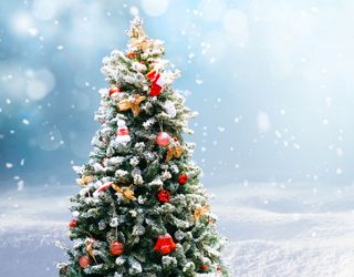 Orkan, Schnee, Regen, Kälte? Das Wetter an Weihnachten in Deutschland!