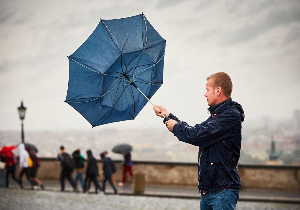 Regen Wind Herbstwetter Regen Wind Herbstwetter