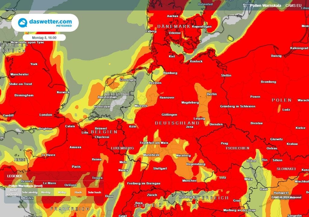 pollen, deutschland pollen, deutschland
