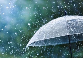 Wetterexperte Habermehl verrät: Ab diesem Termin gibt es wieder Regen in Deutschland! endet die Dürre vor Ostern?