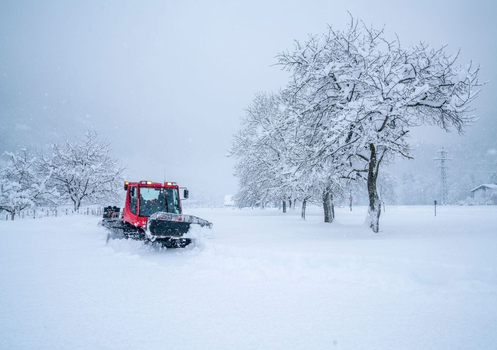 winter, schnee, wintereinbruch