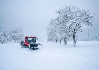 Wetterexperte Johannes Habermehl ist verblüfft - Droht Deutschland ein Winter ohne Winter?