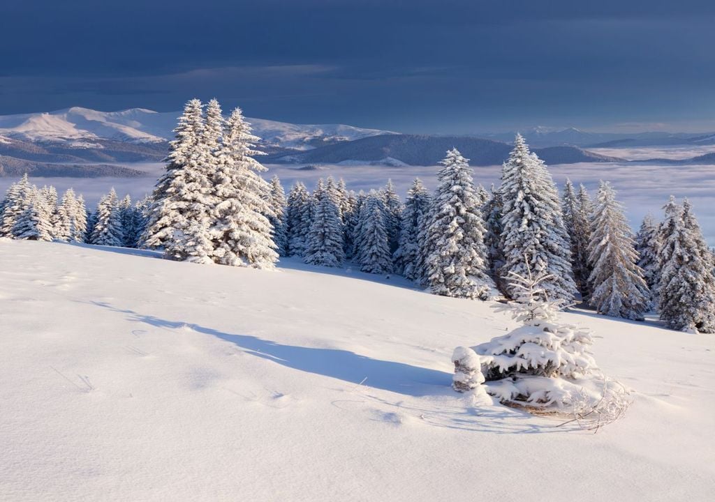 schnee, weihnachten, wetter