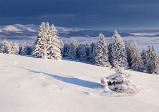 Wetterexperte sicher: Weiße Weihnachten noch nicht vom Tisch – warum trotz Rekordwärme ein Winter-Comeback möglich ist