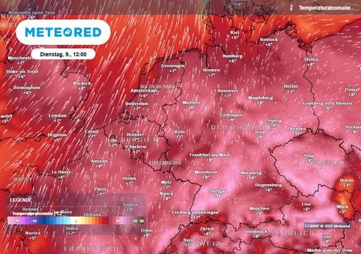 Wetterforscher: "So etwas noch nie erlebt" Saharawirbel statt Polarwirbel trifft Deutschland! Rekord-Dezember seit 1881