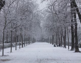 Um investigador de meteorologia explica: neve precoce, sem precedentes desde há décadas, inverno rigoroso à vista
